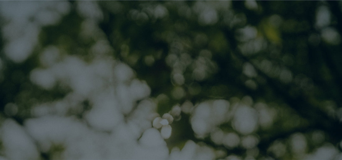 2/19(木)〜2/25(水) 羽田産直館 羽田空港第1ターミナル2階にてPOPUPイベントを行います。